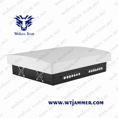100 Meter mittlere Energie 10W WiFi Handy-Signal-Störsender